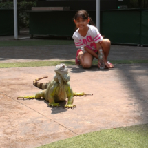 amika+varan-IMG_20190302_122109